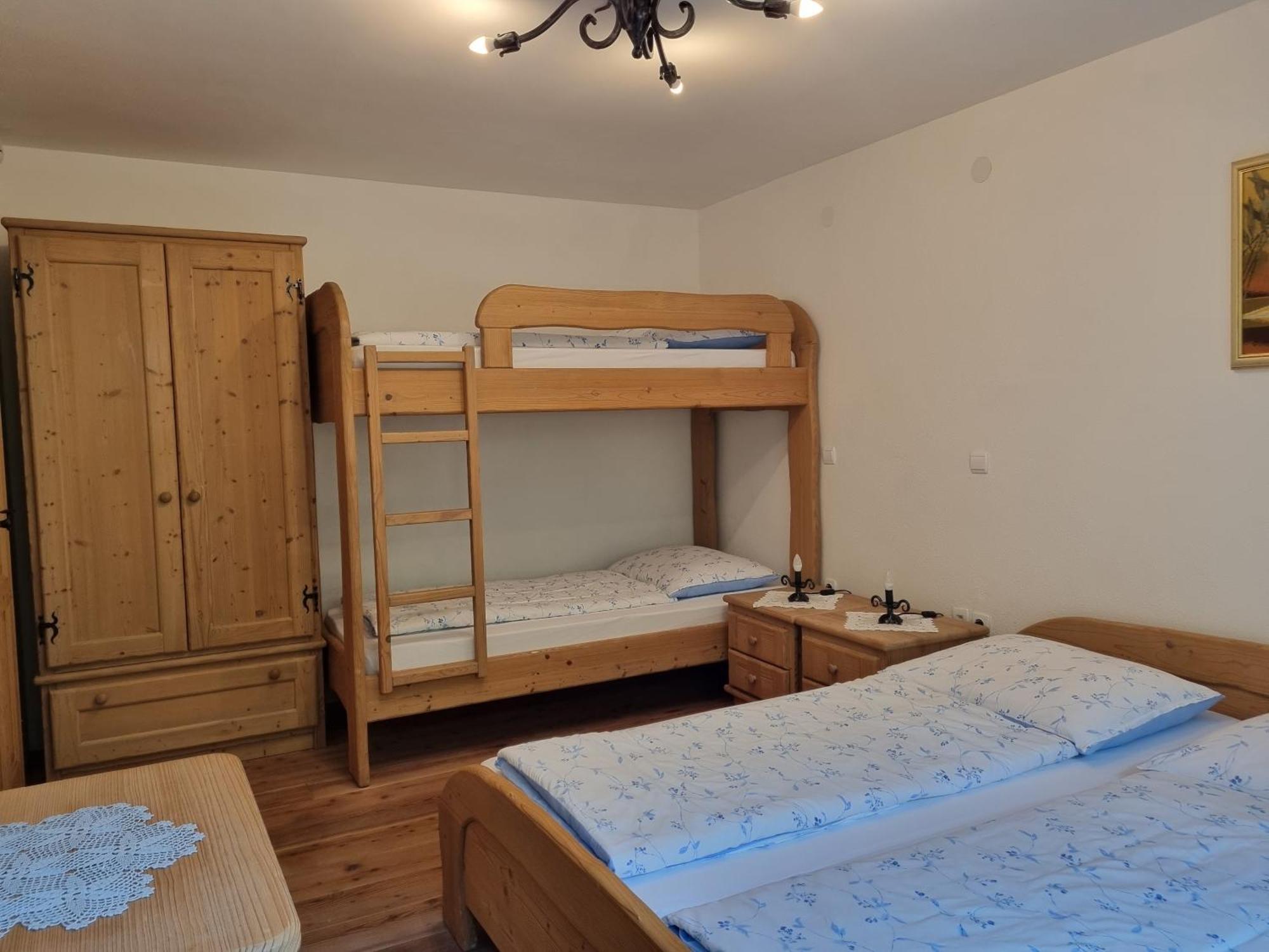 Apartments Pod Macesnovo Streho Solčava Extérieur photo