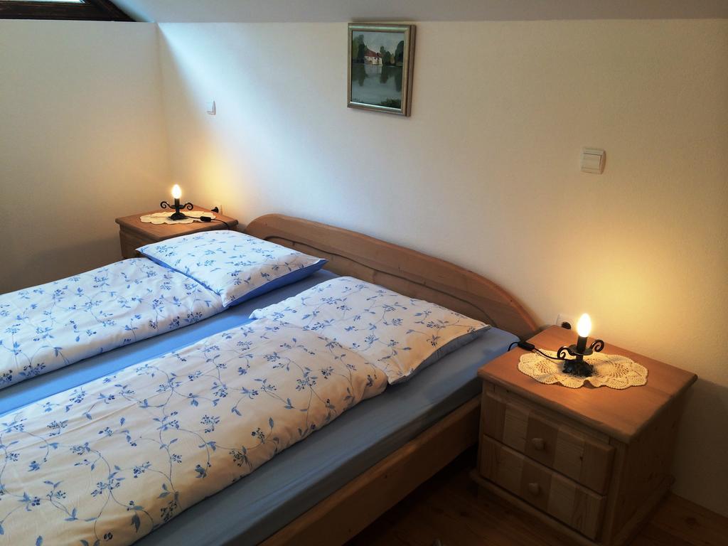 Apartments Pod Macesnovo Streho Solčava Extérieur photo
